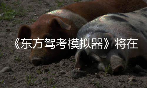 日登将拟器陆S在1方驾东平台2月考模
