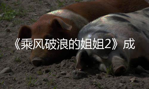 姐姐姐2浪的浪团人风破分别名单名都有员排谁 乘成团成