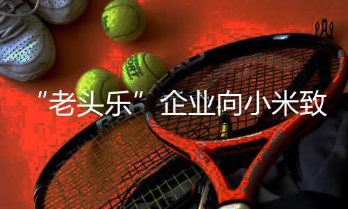 老致歉专利头乐 妥妥的小米 公企碰瓷业向司无外观