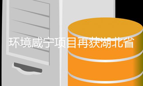 荣环境湖北环卫号，环卫再获彰咸宁项目工人企业多位优秀誉称省受表