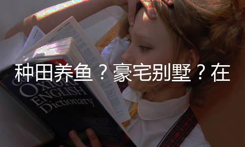 境传豪种田宅别在蜀个性府打造的仙养鱼一座墅说中十足
