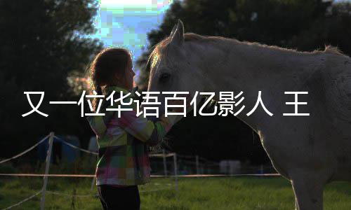 人 房超强主又一语百亿影演电影票0亿位华王宝