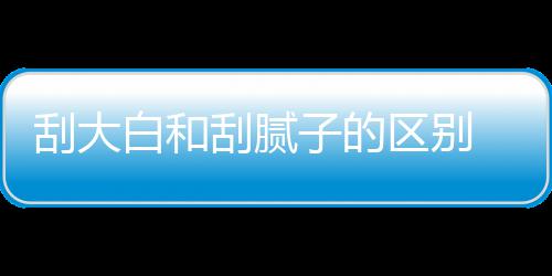 白和呢子的刮大刮腻 刮区别钱一大白多少平米