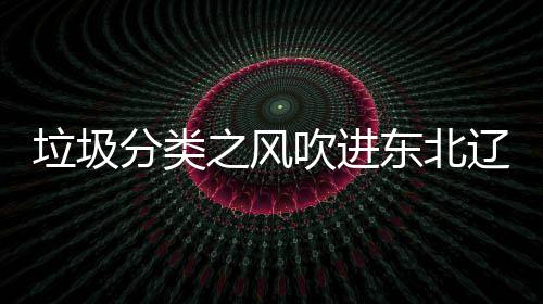 圾桶垃圾辽宁类垃之风分类启用东北沈阳四分吹进