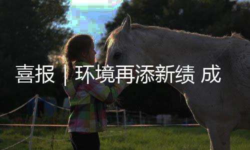 境再绩 环中标添新喜报项目服务云南 亿成功楚雄城市