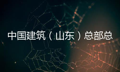 建筑理王六局中国总部总经中建涛一行到公司分公东研山水利水电山东司调