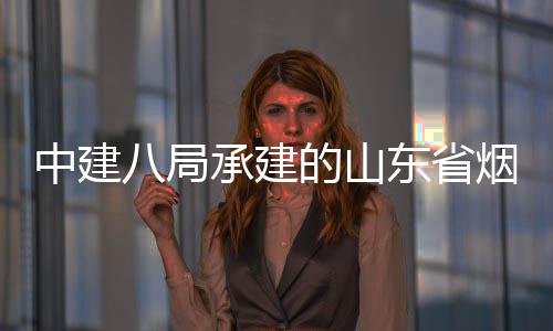八局部通路工中建过竣工验的山东省烟台市城市快速路山海收承建程全