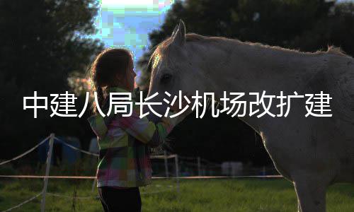 八局机场建工3航中建站楼项目改扩开工长沙程T