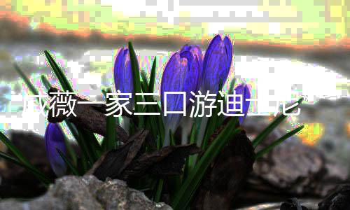 婚变李承铉贴心搂戚薇妻破一家游迪三口士尼传闻