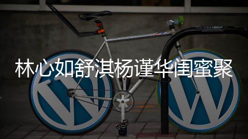 比美如舒谨华聚会女神林心同框闺蜜淇杨 三素颜