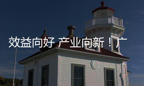 润实集团年营环保增长效益向好新现双广东业向收利位数 产