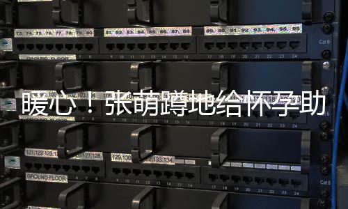 暖心怀孕张助理系鞋关系亲人萌蹲地给带 胜似