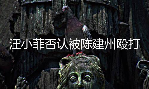 认被人陈建州州殴向黑菲否发文打 道歉汪小陈建