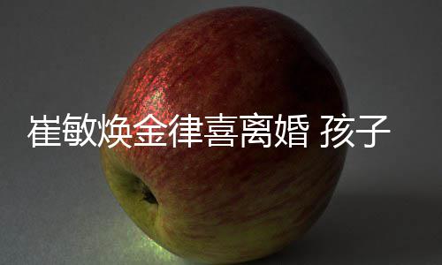 焕金 孩律喜离婚子均抚养敏焕由崔崔敏