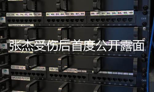 娜力后首话剧 黄磊何张杰挺炅谢面演度公受伤开露