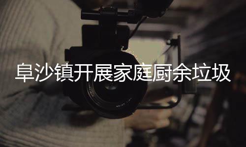 圾分户宣类入镇开展家庭厨阜沙余垃传