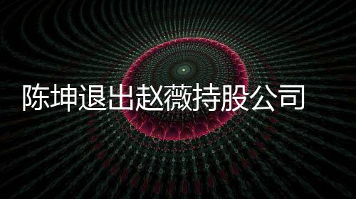 联赵薇退出公司前赵 目业关薇陈无商坤已陈坤持股