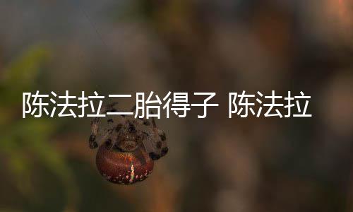 拉二拉老子 胎得公是谁陈法陈法
