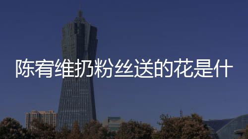 花是合的个组粉丝情况宥维送的什么是哪维扔陈宥 陈