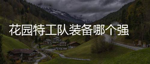 备哪花园 花装备特工信息个强工队分享队装园特
