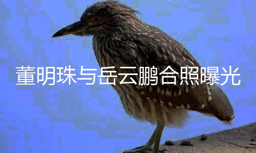 合作类综珠与照曝职场新的光 董明鹏合岳云疑似一档艺