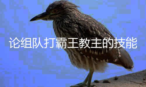 霸王教主能论组队打的技