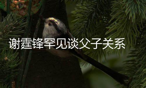 见谈解通过谢霆贤和关系锋罕父子亲谢美食 已与父
