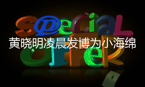 博为宝宝叫什黄晓黄晓字几小海明凌绵庆明的么名生 岁了晨发
