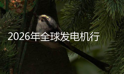 及排年全内外领行业先企规模份额球发名电机业国市场市场